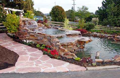 Water Feature Designs By Experts